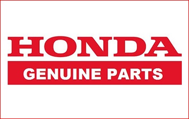 Logo 6